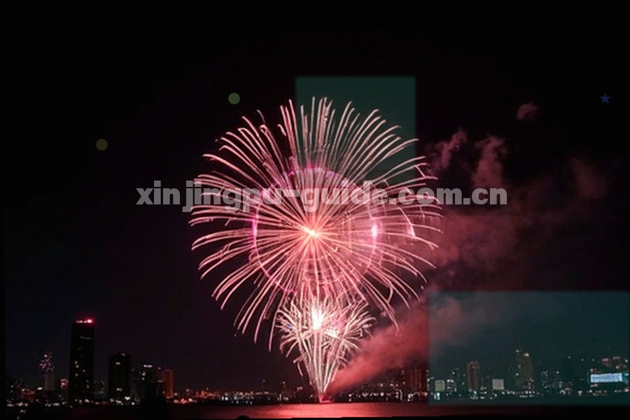 墨蓝背景上排列的编号档案盒，标签标注栏目代码与批次